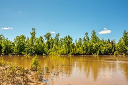 Waterfront Hunting Land for Sale in Port Gibson, MS - image 44