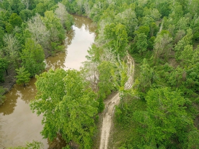 Waterfront Hunting Land for Sale in Port Gibson, MS - image 3
