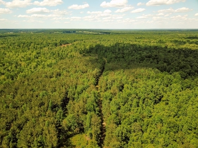 Waterfront Hunting Land for Sale in Port Gibson, MS - image 33