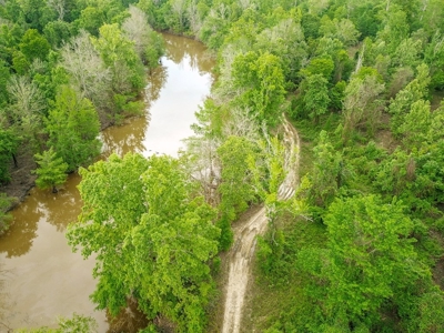 Waterfront Hunting Land for Sale in Port Gibson, MS - image 41