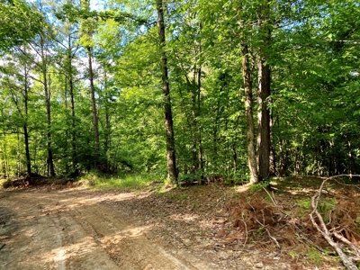 Waterfront Hunting Land for Sale in Port Gibson, MS - image 19
