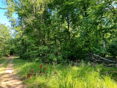 Waterfront Hunting Land for Sale in Port Gibson, MS - image 7
