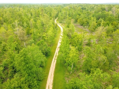 Waterfront Hunting Land for Sale in Port Gibson, MS - image 38