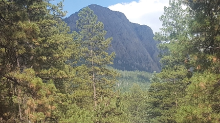 Cabin in the mountains with great views of the Brazos Cliffs - image 11