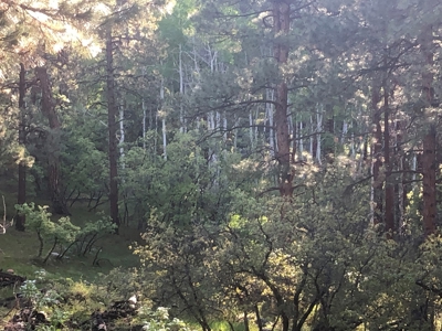 Cabin in the mountains with great views of the Brazos Cliffs - image 3