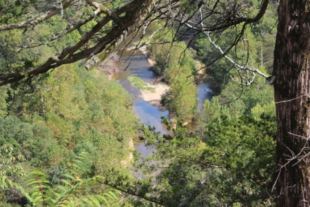 River Front  Property For Sale In Northwest Arkansas - image 5