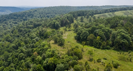 River Front  Property For Sale In Northwest Arkansas - image 22
