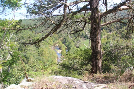 River Front  Property For Sale In Northwest Arkansas - image 6