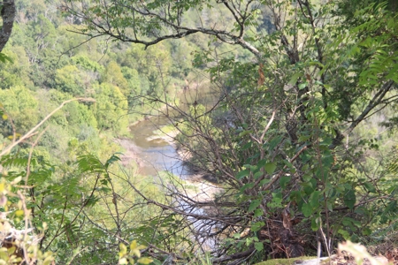 River Front  Property For Sale In Northwest Arkansas - image 3