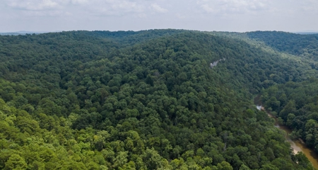 River Front  Property For Sale In Northwest Arkansas - image 26
