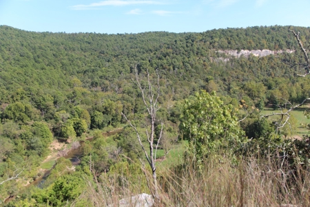 River Front  Property For Sale In Northwest Arkansas - image 4