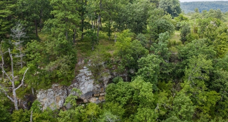 River Front  Property For Sale In Northwest Arkansas - image 20
