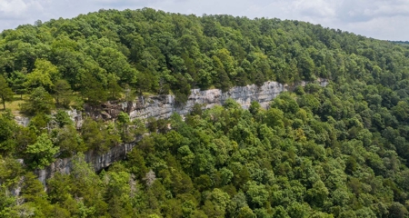 River Front  Property For Sale In Northwest Arkansas - image 10