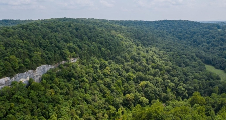 River Front  Property For Sale In Northwest Arkansas - image 27
