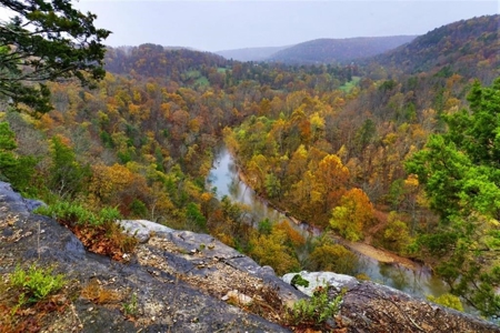 River Front  Property For Sale In Northwest Arkansas - image 7