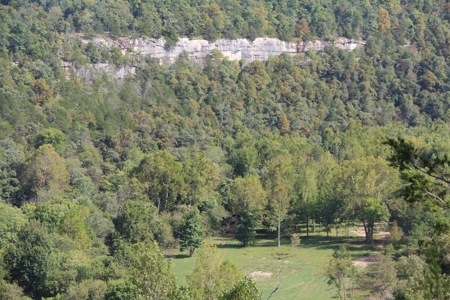 River Front  Property For Sale In Northwest Arkansas - image 1
