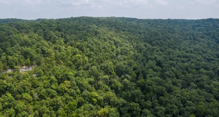 River Front  Property For Sale In Northwest Arkansas - image 28