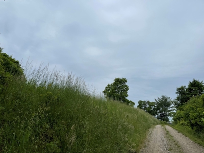 Sardis OH, Monroe County, Farm/Hunting Land For Sale - image 22