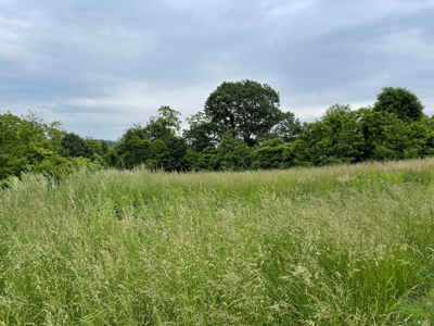 Sardis OH, Monroe County, Farm/Hunting Land For Sale - image 23