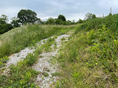 Sardis OH, Monroe County, Farm/Hunting Land For Sale - image 26