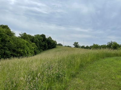 Sardis OH, Monroe County, Farm/Hunting Land For Sale - image 25