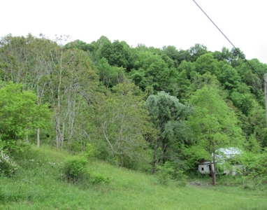 Land for Sale in Glade Spring VA - image 4