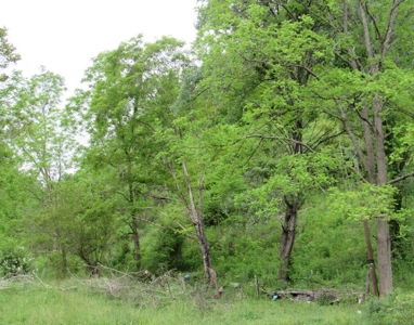 Land for Sale in Glade Spring VA - image 5