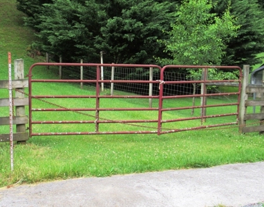 Land for Sale in Glade Spring VA - image 8