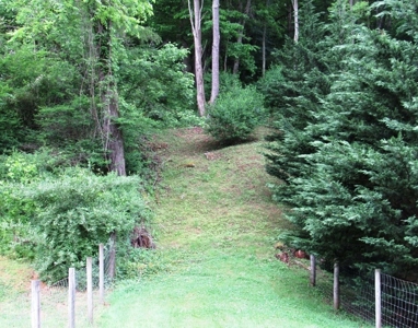 Land for Sale in Glade Spring VA - image 1