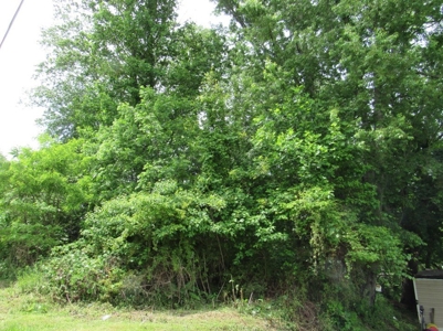 Wooded Building Lot for Sale in Meadowview VA - image 1