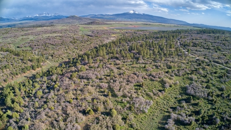 35 acres in Western Colorado with Lake access near Telluride - image 24