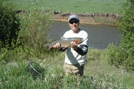 35 acres in Western Colorado with Lake access near Telluride - image 16