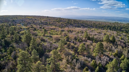35 acres in Western Colorado with Lake access near Telluride - image 25