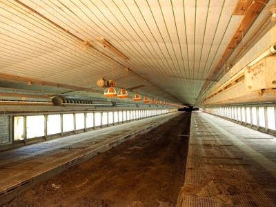 4 House Poultry Breeder Farm for Sale Jasper County, MS - image 12