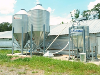 4 House Poultry Breeder Farm for Sale Jasper County, MS - image 22