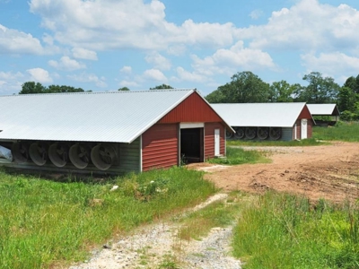 4 House Poultry Breeder Farm for Sale Jasper County, MS - image 2
