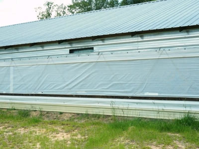 4 House Poultry Breeder Farm for Sale Jasper County, MS - image 5