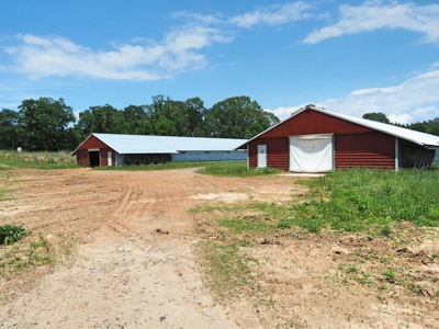 4 House Poultry Breeder Farm for Sale Jasper County, MS - image 1
