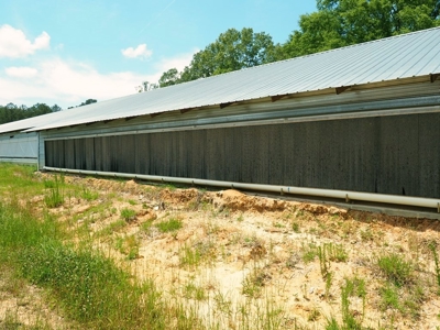 4 House Poultry Breeder Farm for Sale Jasper County, MS - image 21