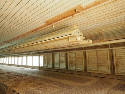 4 House Poultry Breeder Farm for Sale Jasper County, MS - image 10