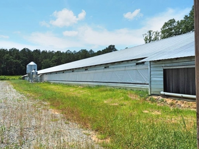 4 House Poultry Breeder Farm for Sale Jasper County, MS - image 4