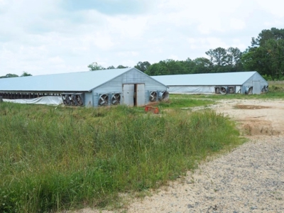 4 House Poultry Breeder Farm for Sale Jasper County, MS - image 25