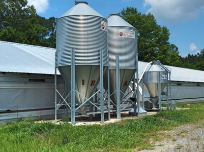 4 House Poultry Breeder Farm for Sale Jasper County, MS - image 8