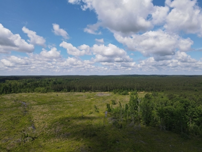 Hunting Land Dallas County Arkansas - image 13