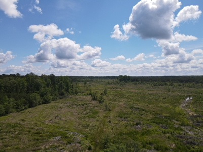 Hunting Land Dallas County Arkansas - image 4
