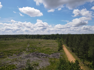 Hunting Land Dallas County Arkansas - image 1
