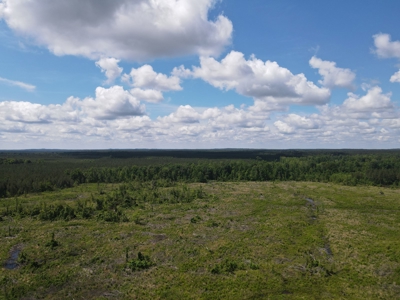 Hunting Land Dallas County Arkansas - image 12