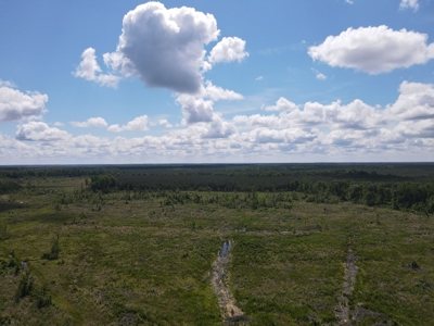 Hunting Land Dallas County Arkansas - image 6