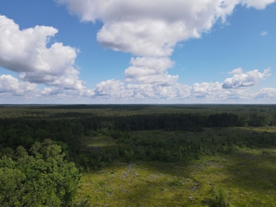 Hunting Land Dallas County Arkansas - image 9