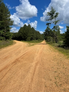 Hunting Land Dallas County Arkansas - image 22